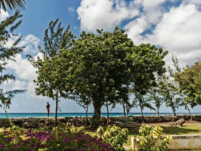 Bridgetown, Barbados. Hire creative talent in Bridgetown.