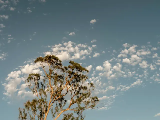 Broome, Australia. Hire creative talent in Broome.
