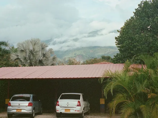 Cali, Colombia. Hire creative talent in Cali.