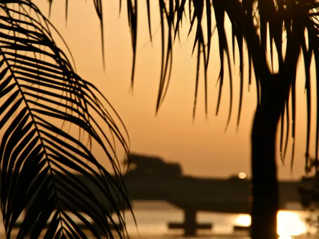 Cape Coral, United States. Hire creative talent in Cape Coral.
