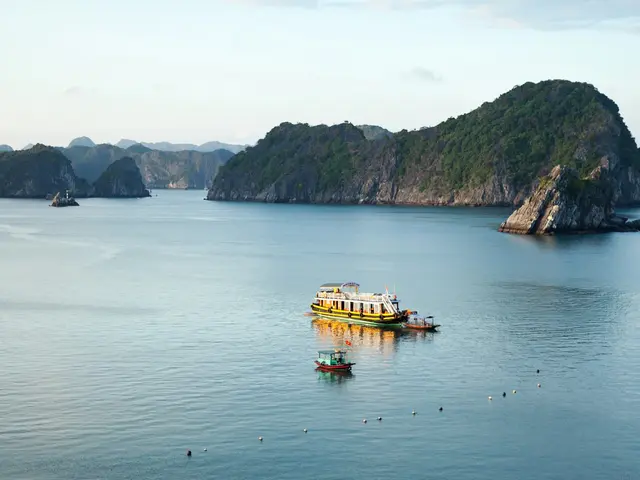 Cat Ba Island, Vietnam. Hire creative talent in Cat Ba Island.