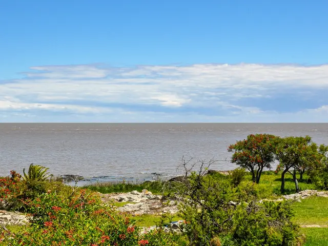 Colonia del Sacramento, Uruguay. Hire creative talent in Colonia del Sacramento.