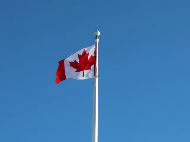 Cranbrook, Canada. Hire creative talent in Cranbrook.