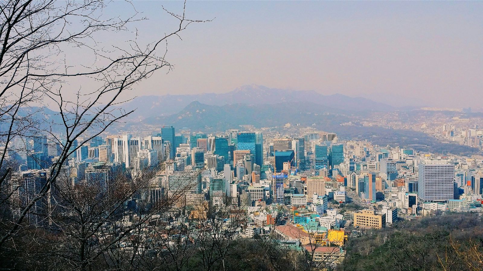 Gyo-dong, Daegu