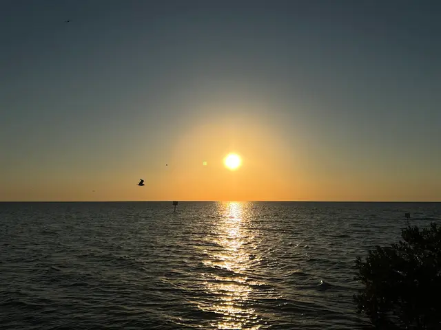 Daytona Beach, United States. Hire creative talent in Daytona Beach.