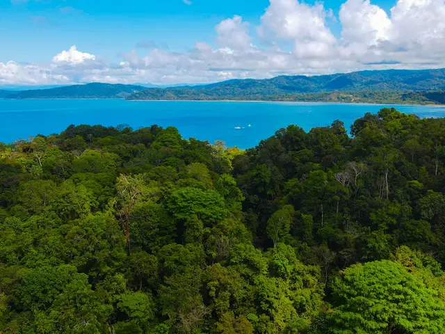 Drake Bay, Costa Rica. Hire creative talent in Drake Bay.