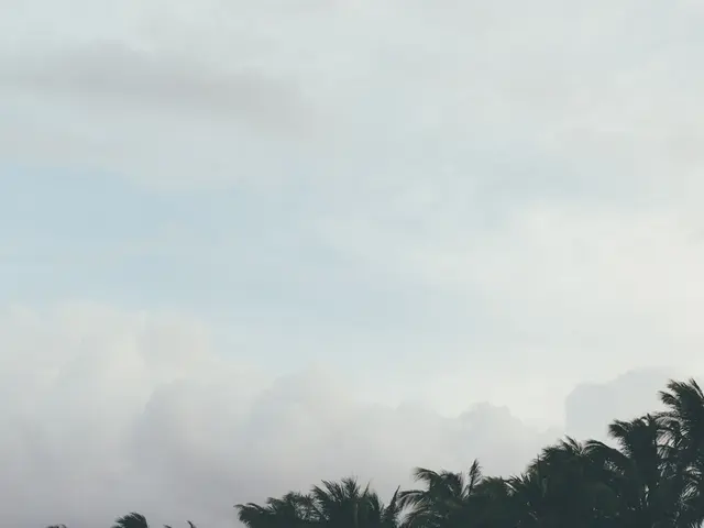 El Nido, Philippines. Hire creative talent in El Nido.