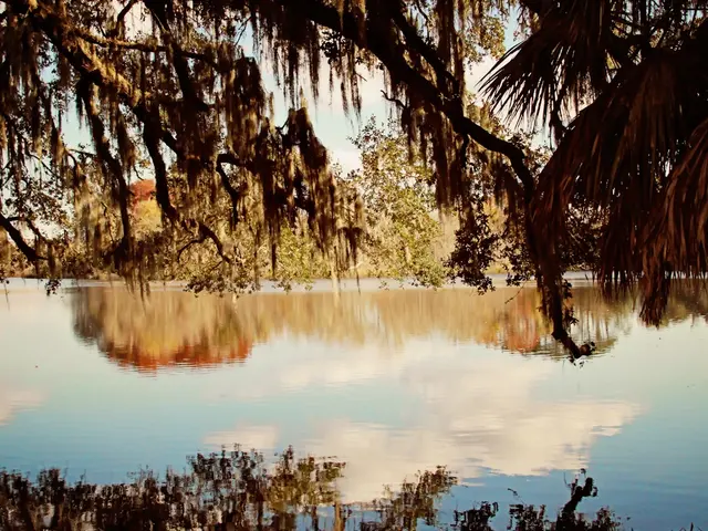 Gainesville, United States. Hire creative talent in Gainesville.