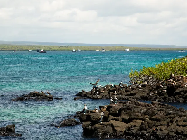Galapagos, Ecuador. Hire creative talent in Galapagos.