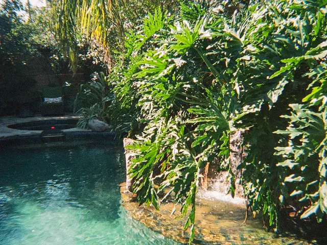 Hot Springs, United States. Hire creative talent in Hot Springs.
