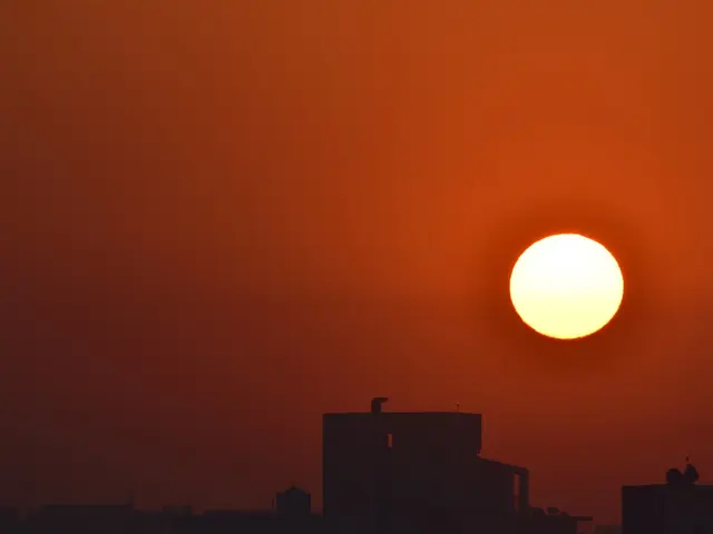 Jaisalmer, India. Hire creative talent in Jaisalmer.