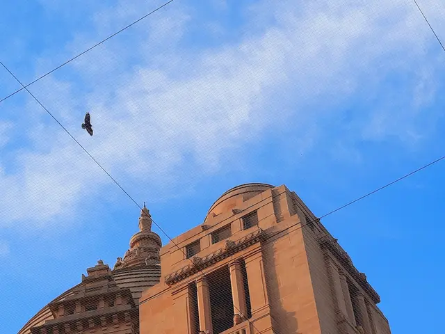 Jodhpur, India. Hire creative talent in Jodhpur.