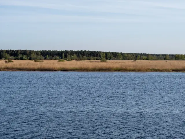 Jurmala, Latvia. Hire creative talent in Jurmala.