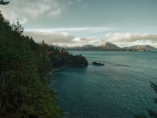 Kodiak, United States. Hire creative talent in Kodiak.