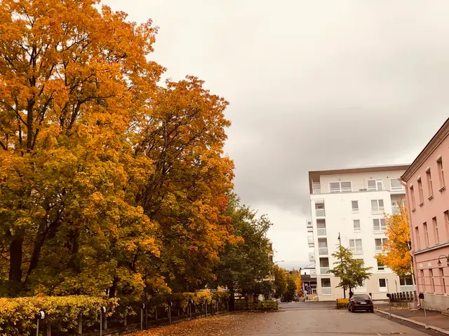 Kuopio, Finland. Hire creative talent in Kuopio.