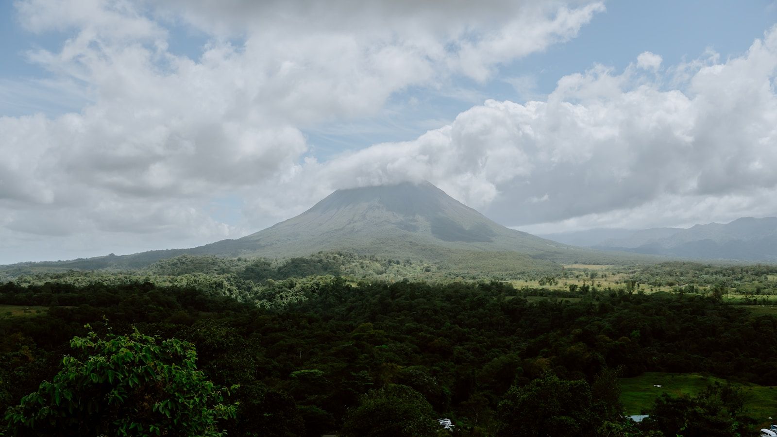 Margarita, La Fortuna