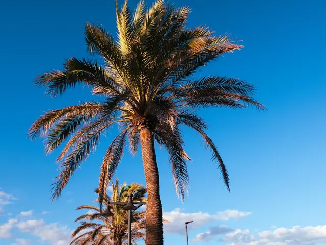 La Palma, Spain. Hire creative talent in La Palma.