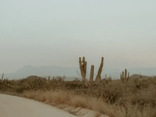 La Paz, Mexico. Hire creative talent in La Paz.