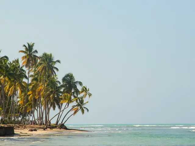 Las Terrenas, Dominican Republic. Hire creative talent in Las Terrenas.