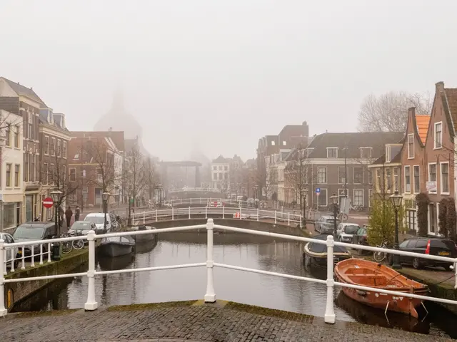 Heide, Leiden