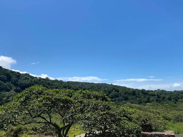 Liberia, Costa Rica. Hire creative talent in Liberia.