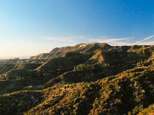Los Angeles, United States. Hire creative talent in Los Angeles.