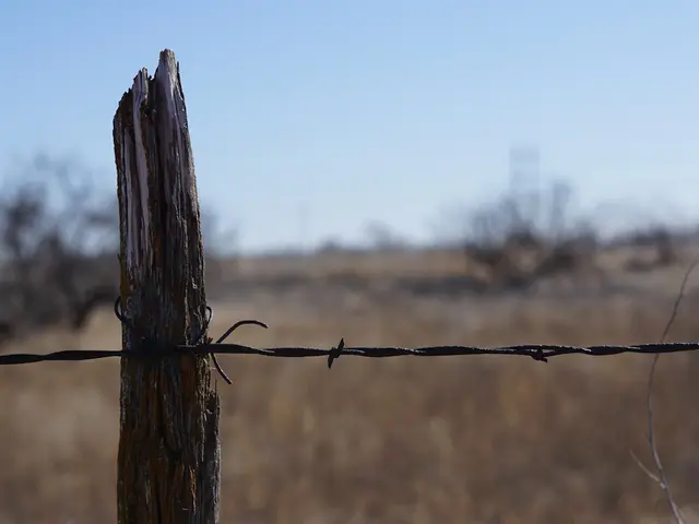 Lubbock, United States. Hire creative talent in Lubbock.