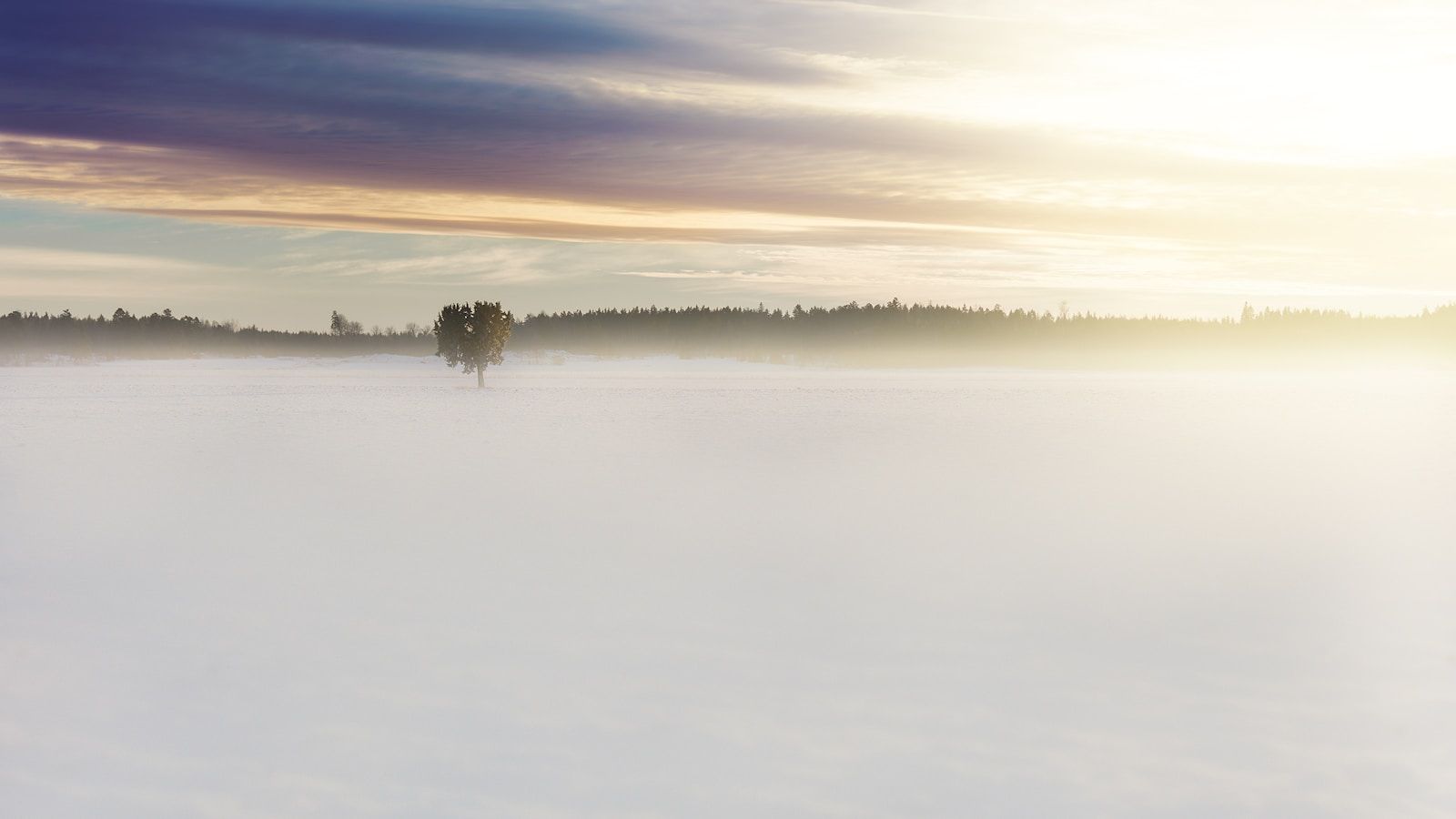 Åretruntbyn, Lund