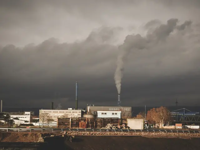Mainz, Germany. Hire creative talent in Mainz.