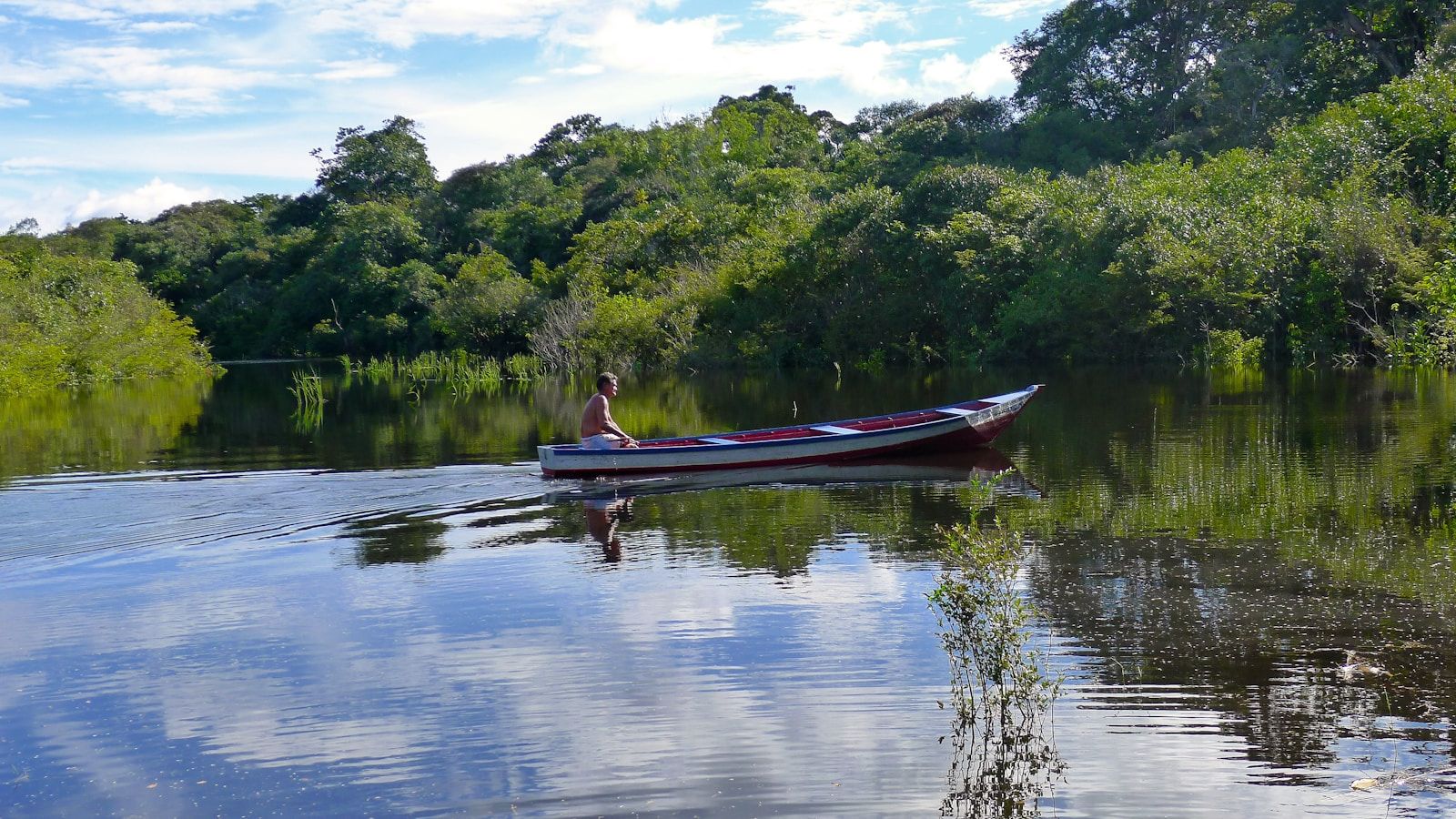 Adrianópolis, Manaus