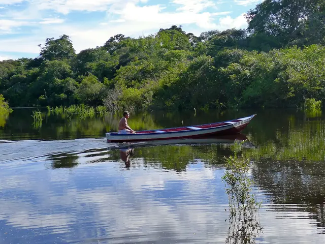 Adrianópolis, Manaus