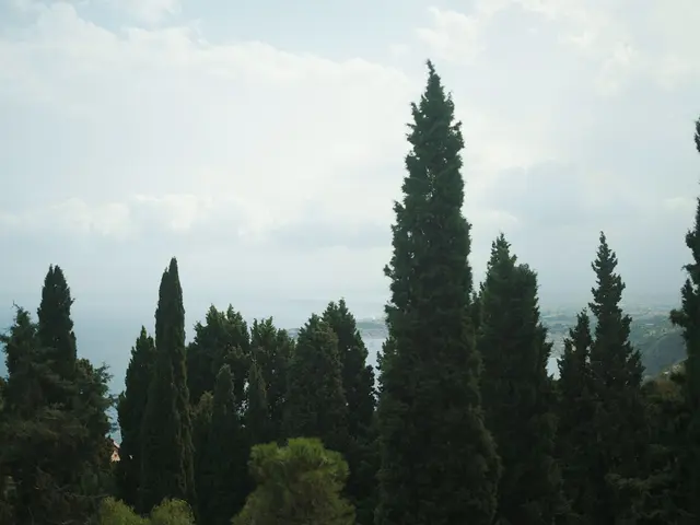 Marsala, Italy. Hire creative talent in Marsala.