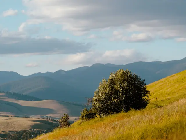 Missoula, United States. Hire creative talent in Missoula.