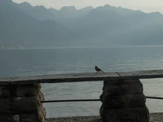 Montreux, Switzerland. Hire creative talent in Montreux.
