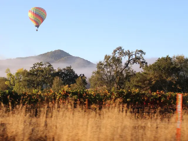 Napa, United States. Hire creative talent in Napa.