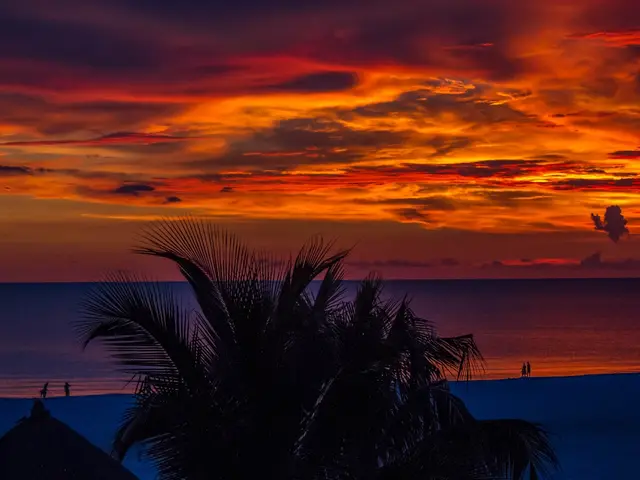 Palm Beach, United States. Hire creative talent in Palm Beach.