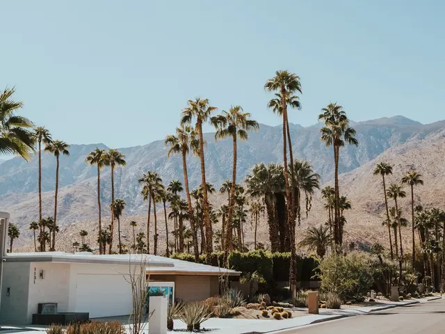 Palm Springs, United States. Hire creative talent in Palm Springs.
