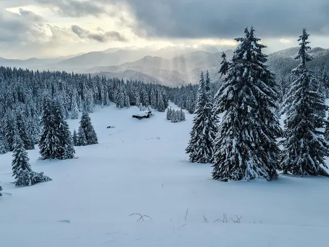 Pamporovo, Bulgaria. Hire creative talent in Pamporovo.