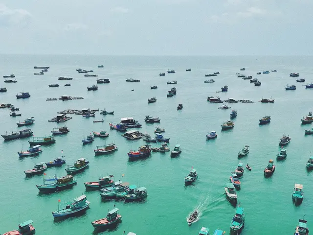 Phu Quoc, Vietnam. Hire creative talent in Phu Quoc.