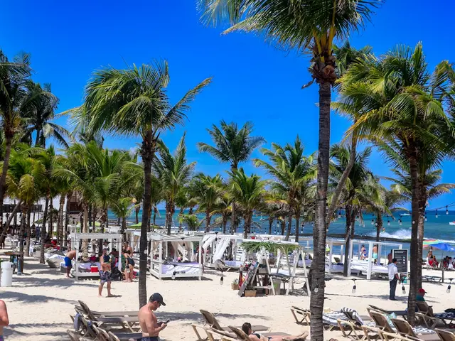 Playa del Carmen, Mexico. Hire creative talent in Playa del Carmen.