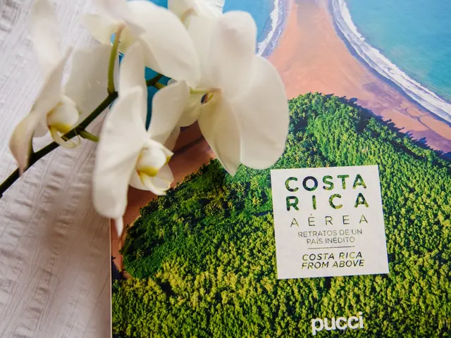 Playa del Coco, Costa Rica. Hire creative talent in Playa del Coco.