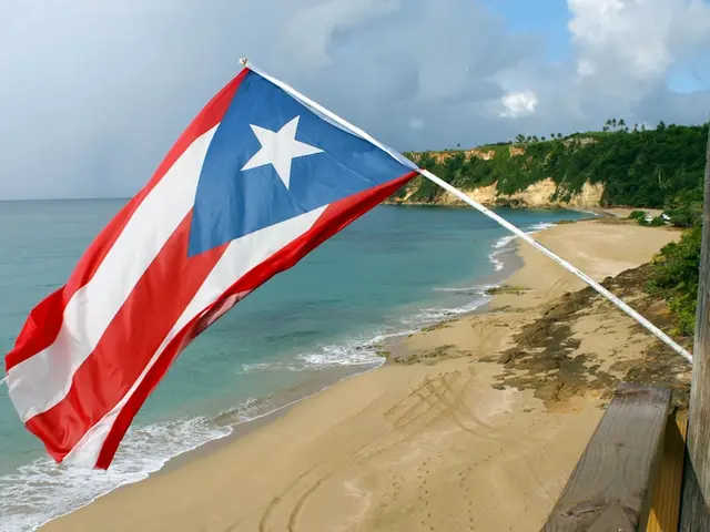 Candelero Arriba, Puerto Rico. Hire creative talent in Candelero Arriba.