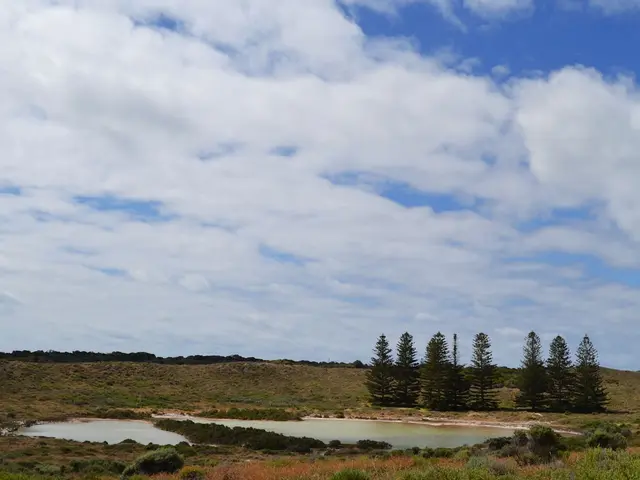 Rottnest Island, Australia. Hire creative talent in Rottnest Island.