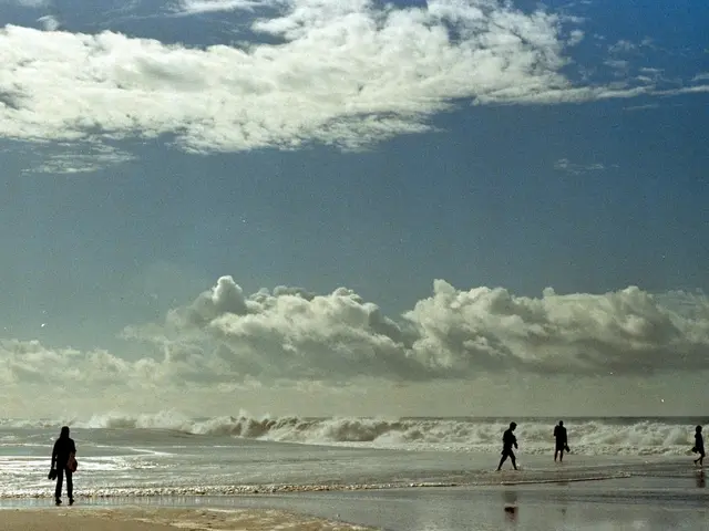 Santa Monica, United States. Hire creative talent in Santa Monica.