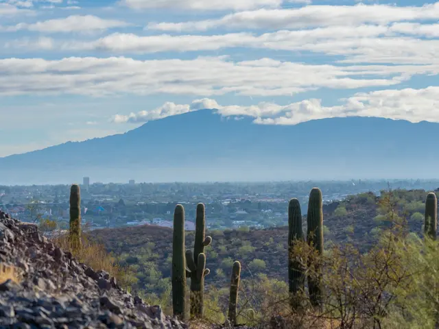 Tucson, United States. Hire creative talent in Tucson.