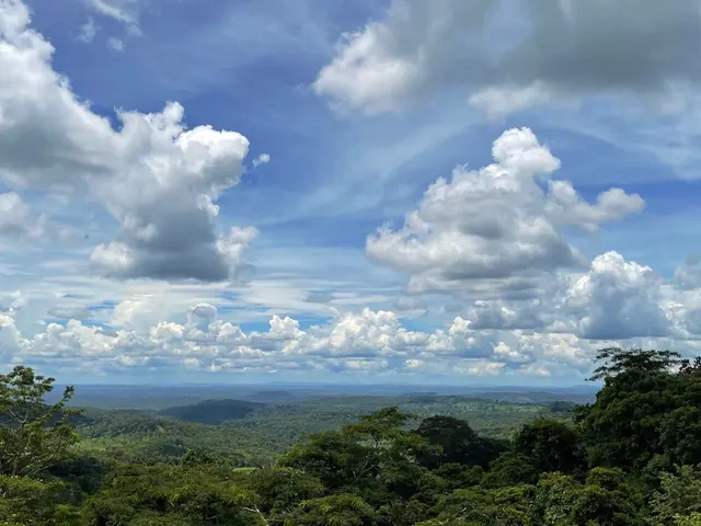 Uvita, Costa Rica. Hire creative talent in Uvita.
